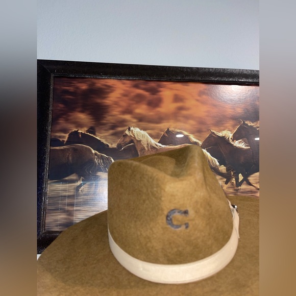 𝐂𝐇𝐀𝐑𝐋𝐈𝐄 𝟏 HAT - Picture 5 of 5